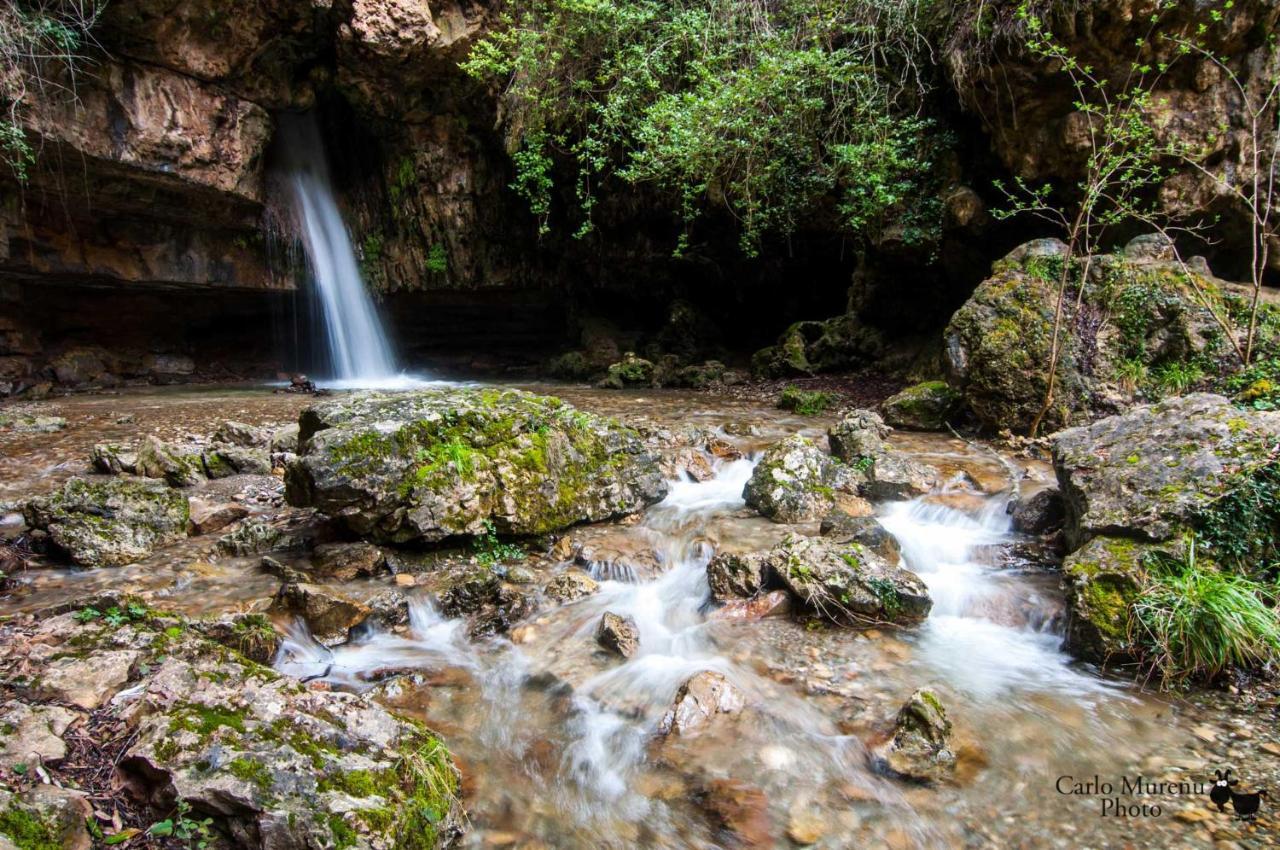 La Peonia Casa Vacanze In Montagna Prato Verde Panorama Stupendo Sardegna Seùlo Exterior foto